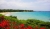 Фотообои 9-059 Море, Пляж